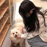 墙来了人版闯关游戏下载